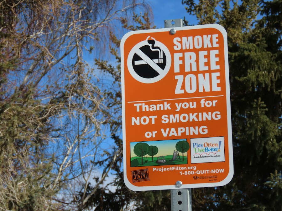 vape battery