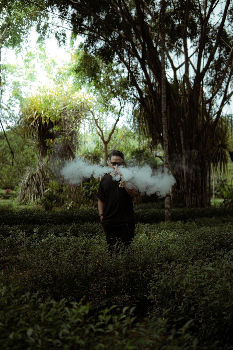 vape pen